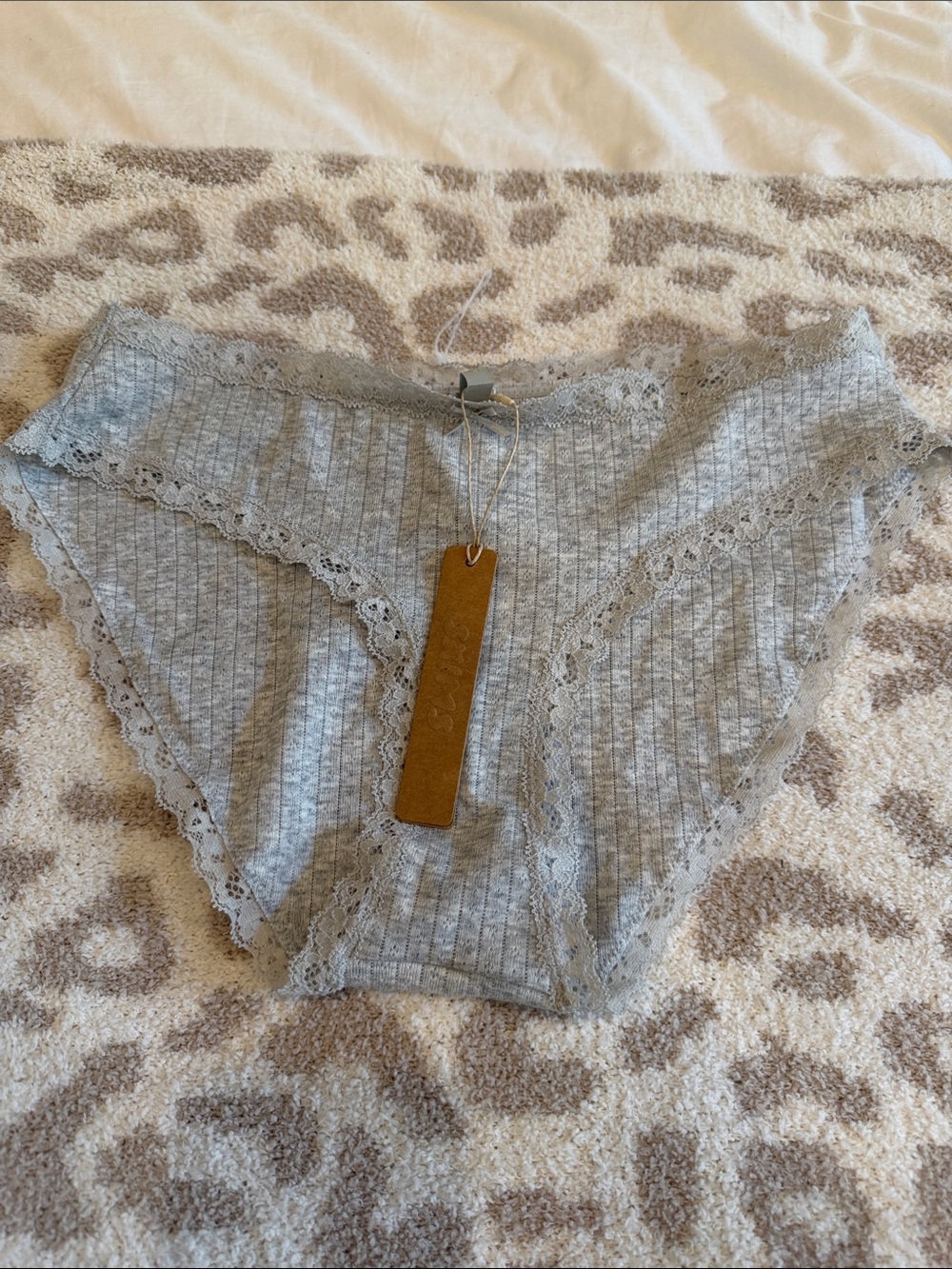 NWT SKIMS Lightweight Cotton Lace Trim Brief